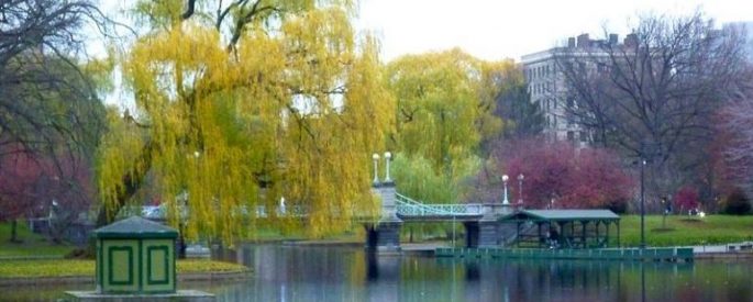 pond at Boston Public Garden with view of the bridge and pink and yellow-green trees