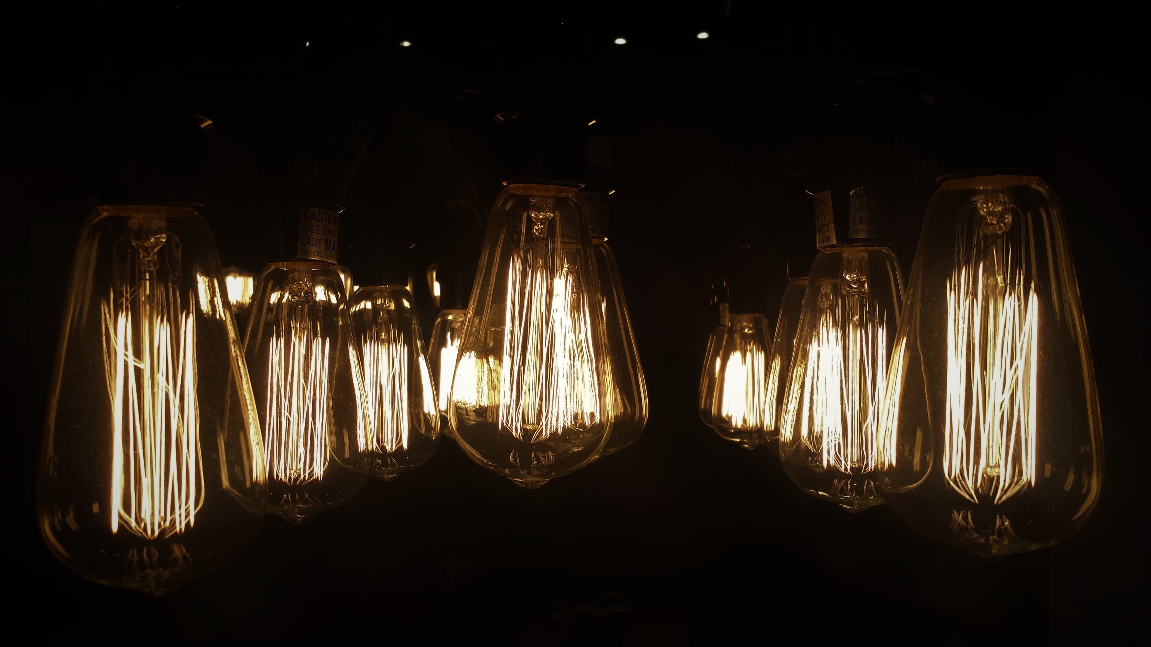 An image of multiple wire lightbulbs in the dark.
