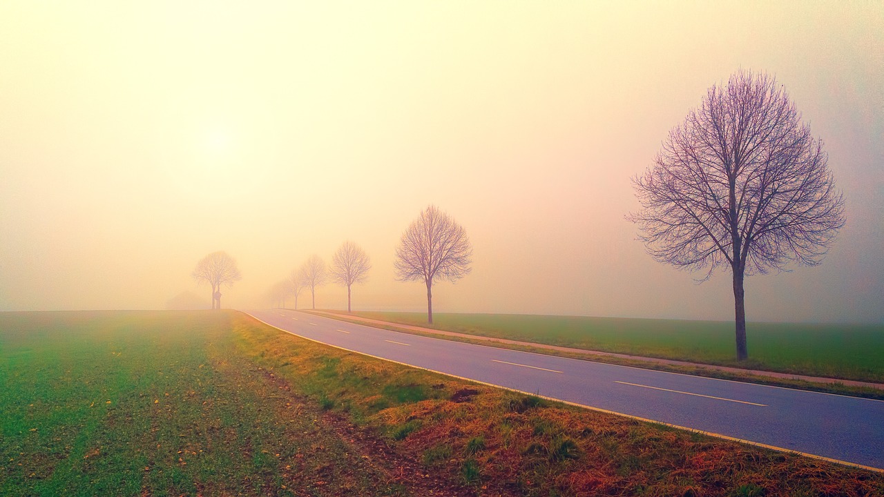Photo of a a misty road in the early morning hours.