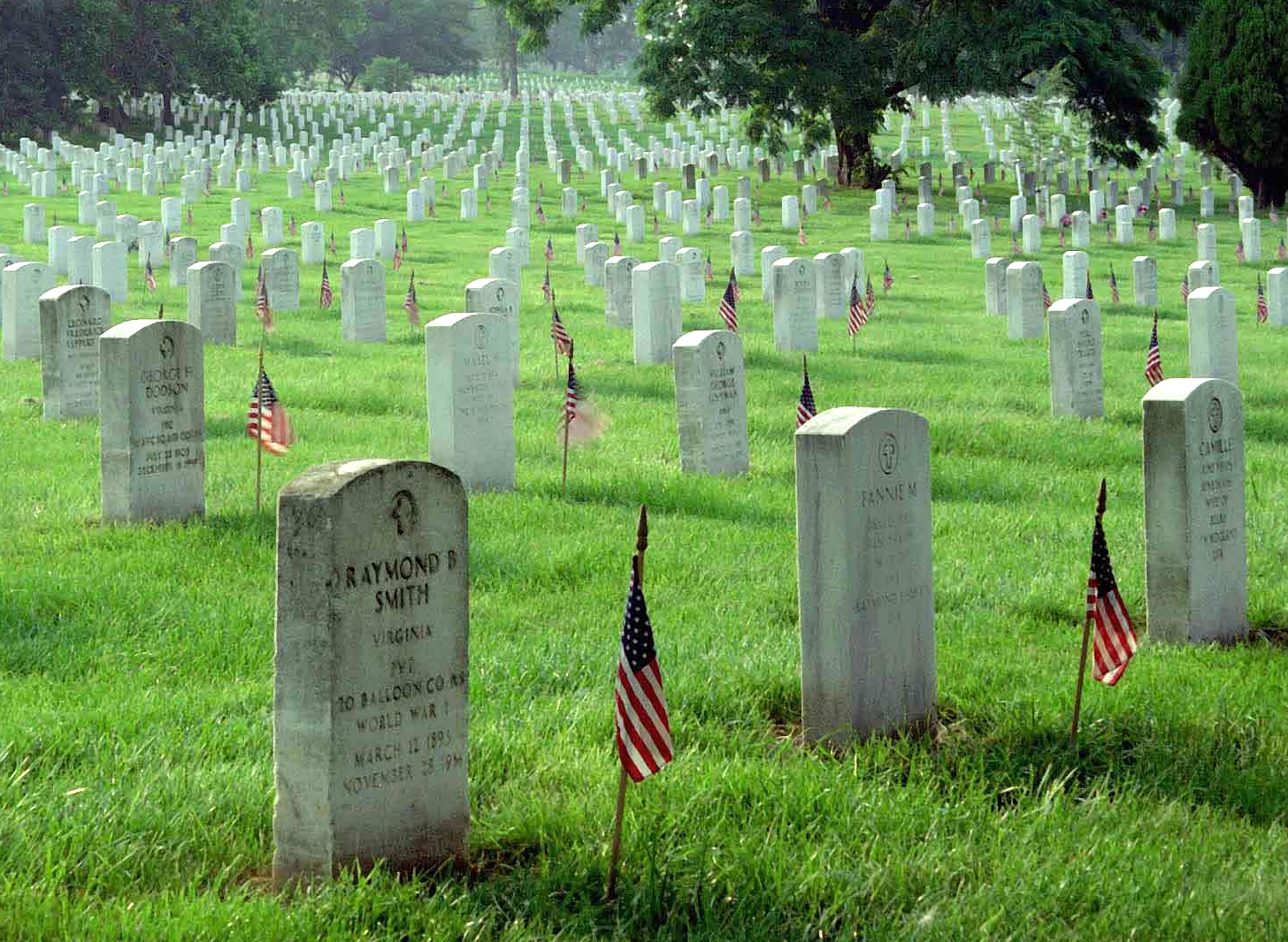 photograph of a graveyard that stretches into the horizon of the photograph on a grassy hill - the graves all have US flags placed at them