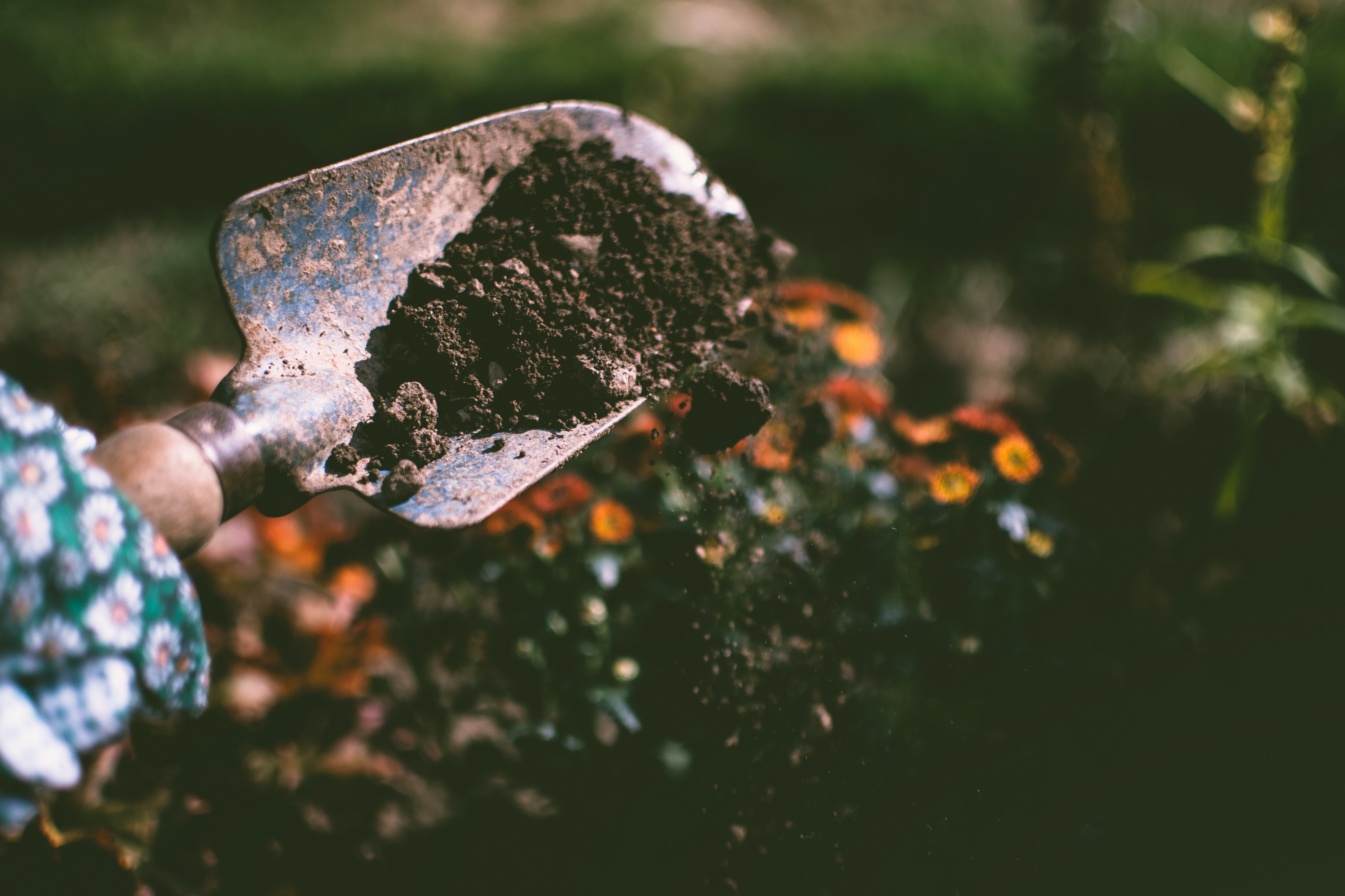 Image of a garden trowel scooping soil