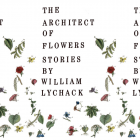 Cover art of William Lychack's The Architect of Flowers