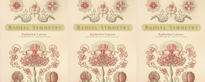 Cover art for Radial Symmetry by Katherine Larson