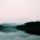 Photograph of a calm lake amongst trees and fog