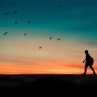 Silhouette of a man walking along a flat path, with a sunset behind him and birds flying in the sky
