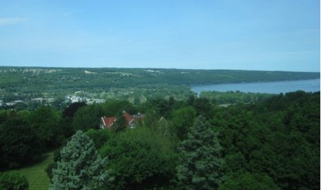 landscape photograph of a forest and a lake far in the horizon--Lake Cayuga