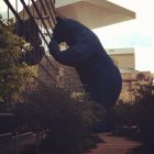 photo of Denver's big blue bear, a large statue of a bear peering into the Denver Convention Center