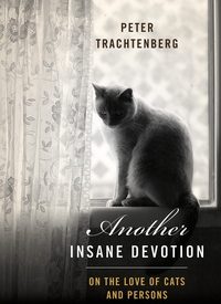 the cover of Another Insane Devotion