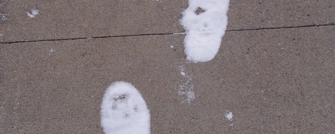 series of white footprints