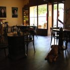 photo of a cafe interior with dark wood floors, a dog naps under a table