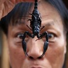 photo of a person holding a scorpion up the camera with a concerned expression on their face