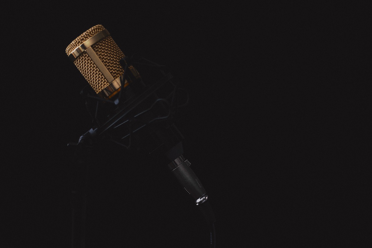 A profile shot of a microphone on a stand in front of a black background.