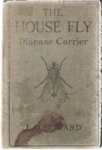 HOUSE-FLY-BOOK-COVER