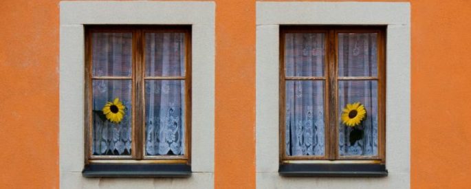 Two windows, each with a flower sticking out