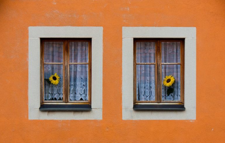 Two windows, each with a flower sticking out