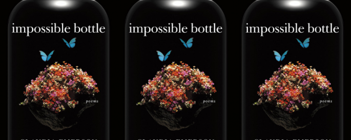 The cover of the book impossible bottle side by side.
