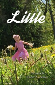 Book cover of Little by Emily Anderson
