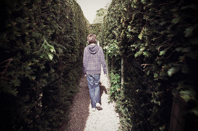 boy walking in hedge maze