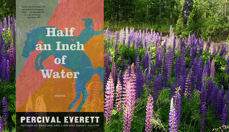 Book cover for "Half an Inch of Water" surrounded by lavender plants.