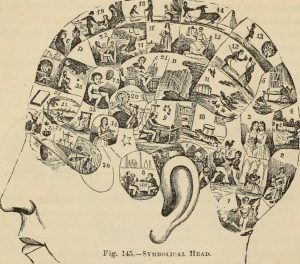 Drawing of the brain split into different sections depicting different memories.