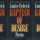 Book cover with only the words "BAPTISM OF DESIRE: POEMS by Louise Erdrich"