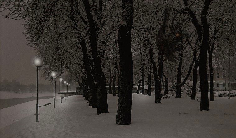 snowy park at night with streetlamps 
