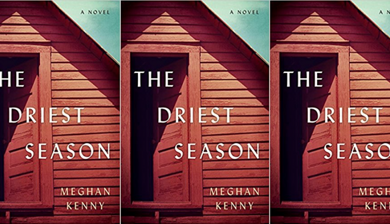 the driest season book cover in repeated pattern 
