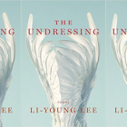 The Undressing cover in a repeated pattern
