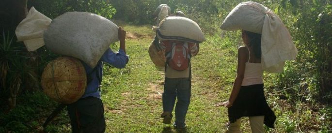 people holding large sacks on their shoulders walking on a grassy path
