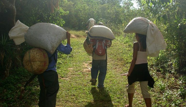 people holding large sacks on their shoulders walking on a grassy path