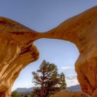 Metate Arch in Grand Staircase-Escalante National Monument - a rock formation making an arch, with a tree underneath and blue sky in the background