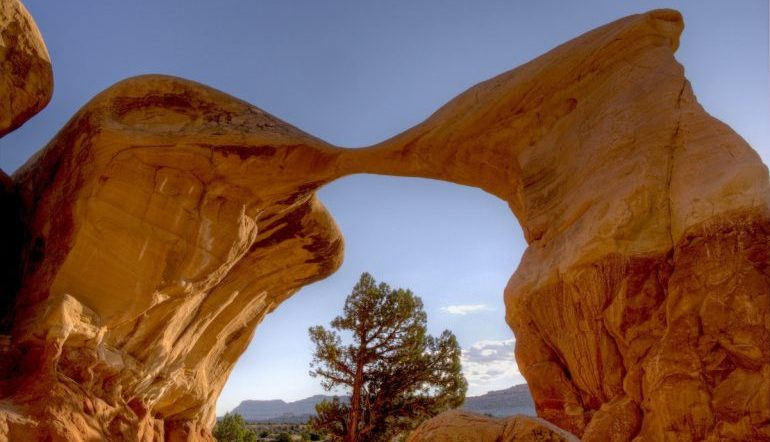 Metate Arch in Grand Staircase-Escalante National Monument - a rock formation making an arch, with a tree underneath and blue sky in the background