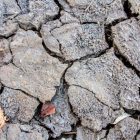 rifts in arid cracked soil