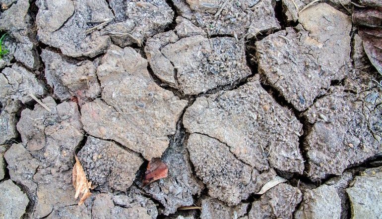 rifts in arid cracked soil