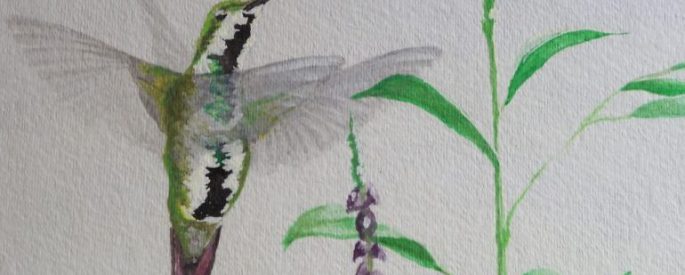 painting of a hummingbird in flight next to purple flowers