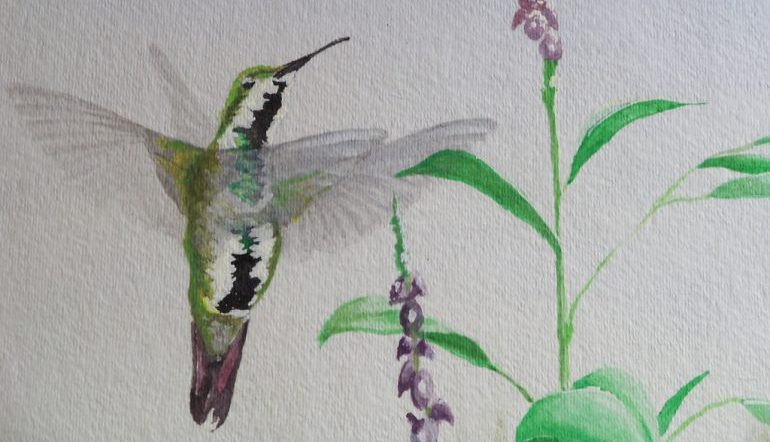 painting of a hummingbird in flight next to purple flowers