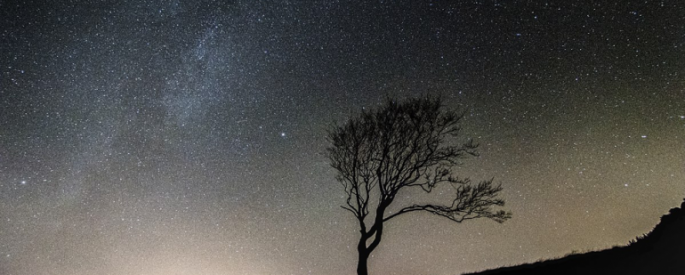 night starry sky with dark silhouettes of a tree and a person on an incline in the distance