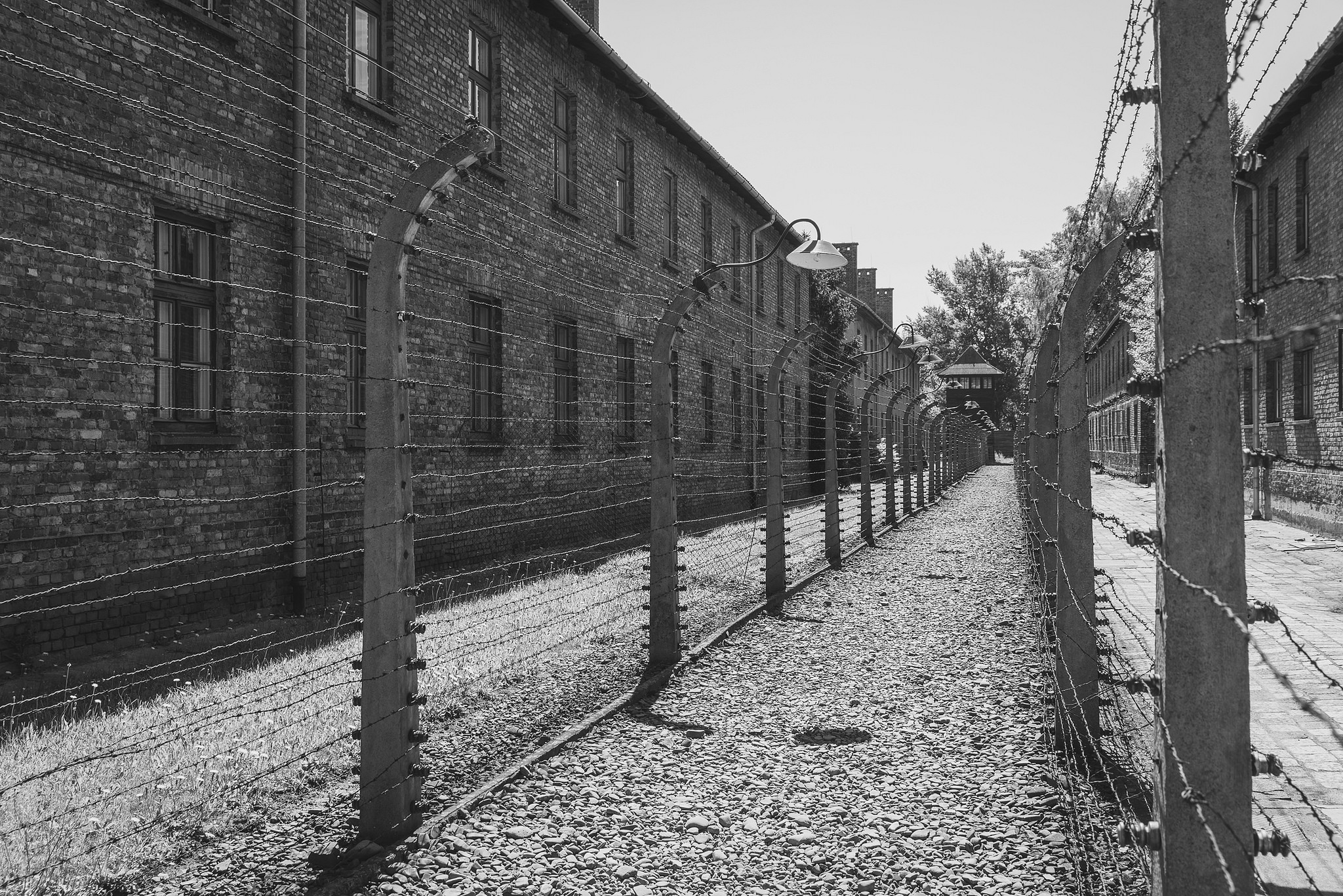 Black and white photograph of a pathway in Auschwitz with barbed wire fencing on both sides.