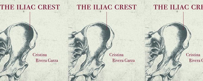 a drawing of an iliac crest