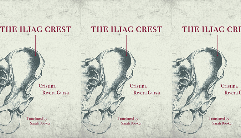 Disappearing Distinctions in Cristina Rivera Garza's The Iliac Crest - The  Ploughshares Blog