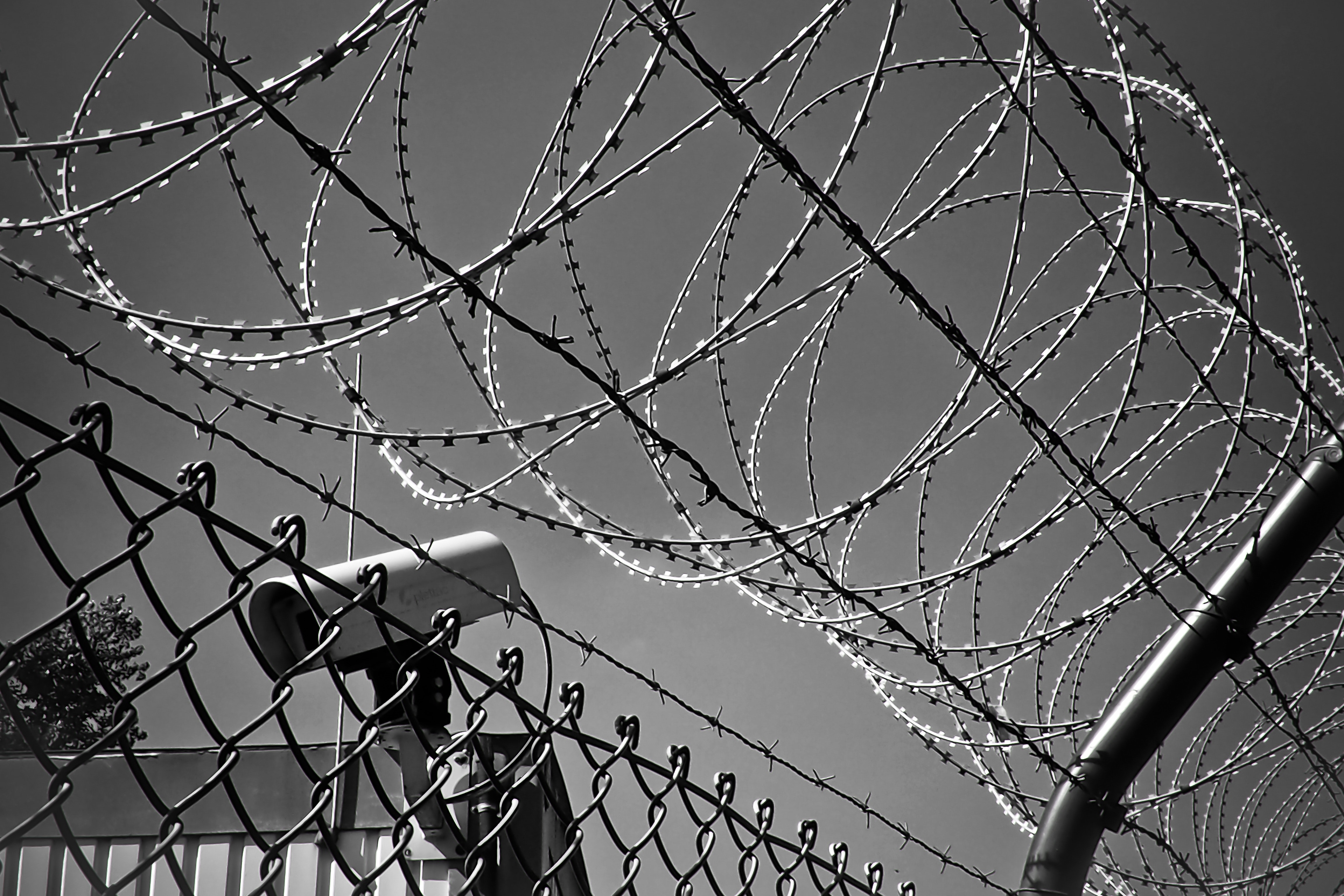 Black and white photograph of barbed wire on top of a metal fence