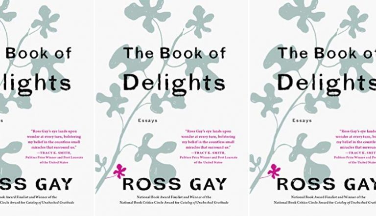 the book of delights essays