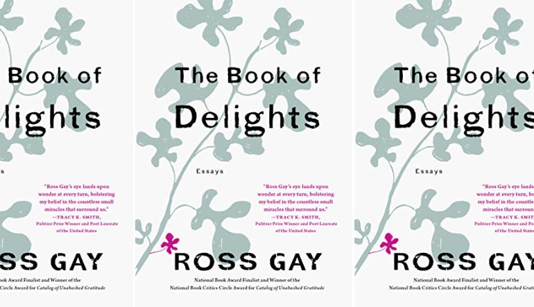 The Book of Delights cover