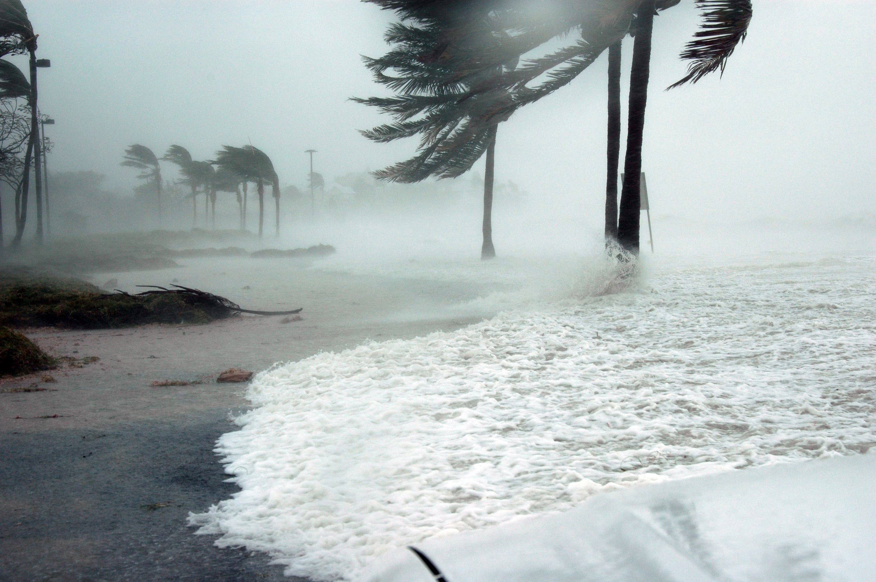 Hurricane making landfall at the Gulf Coast.