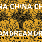 The cover of the book China Dream side by side.