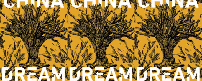 The cover of the book China Dream side by side.