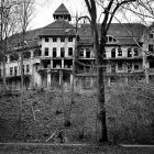 a black and white photo of an old, decaying mansion on a hill