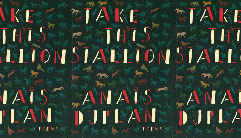 the book cover of Take This Stallion