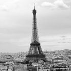 a black and white photograph of the Eiffel Tower standing over Paris