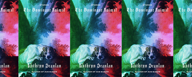 side by side series of the cover of the Dominant Animal by Kathryn Scanlan